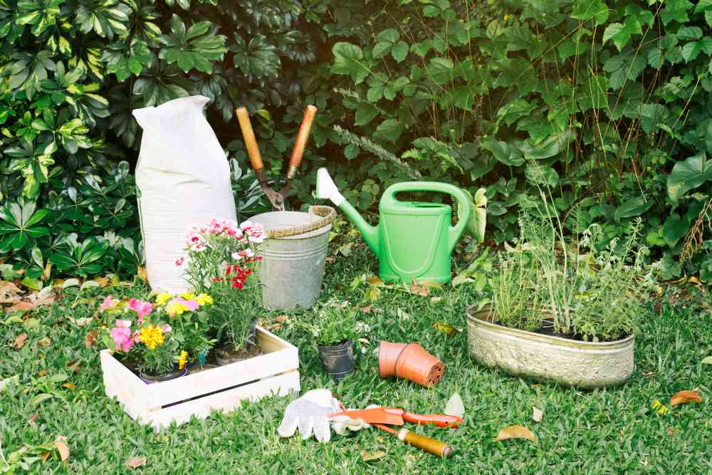 Garden Clearance