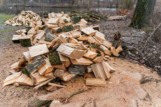 wood clearance